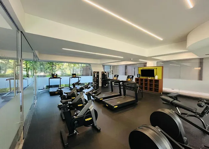 Condesa Elite Living Apartment